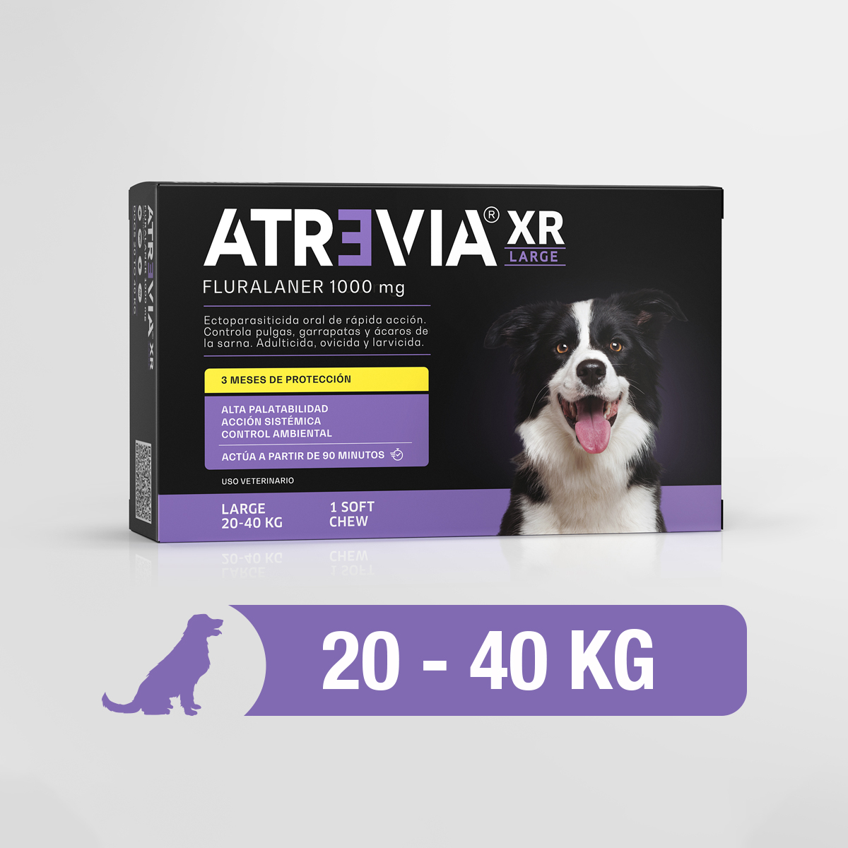 AtreviaXR-Large-1Uni-3