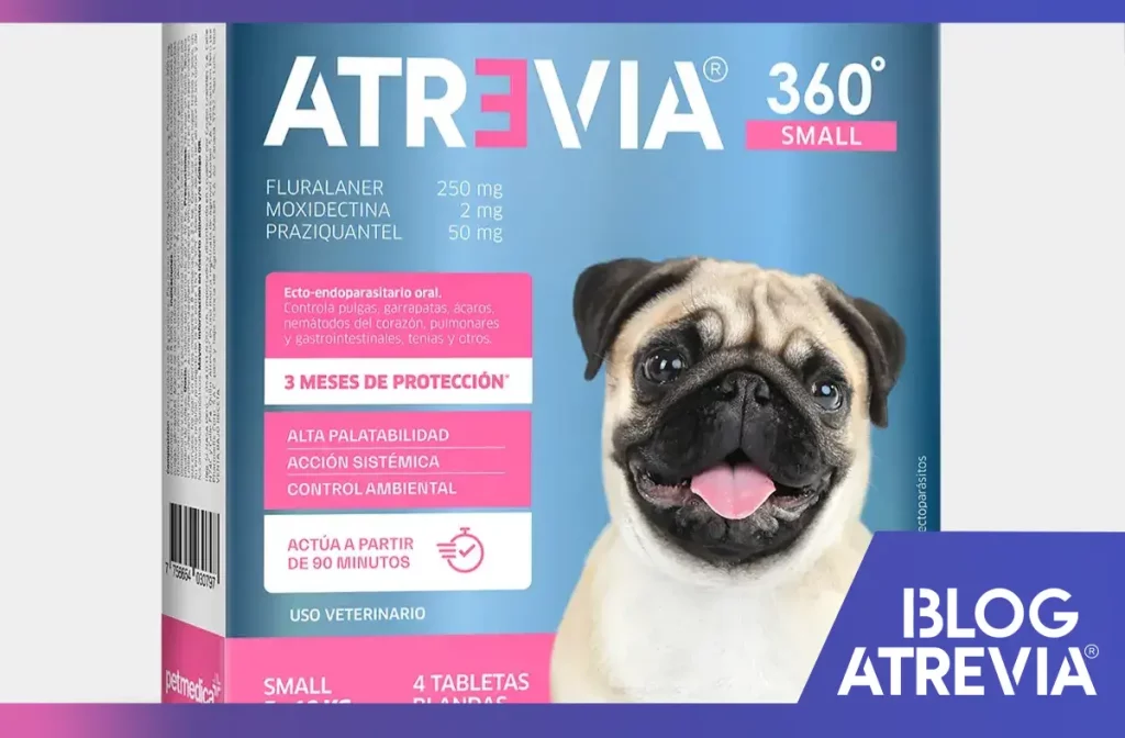 Atrevia para perros: Protege a tu mascota de parásitos este verano