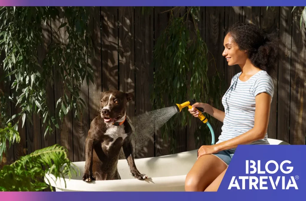 ¿Cómo mantener fresco a tu perro en estos días calurosos?
