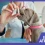 Medicamentos para perros: Efectos secundarios