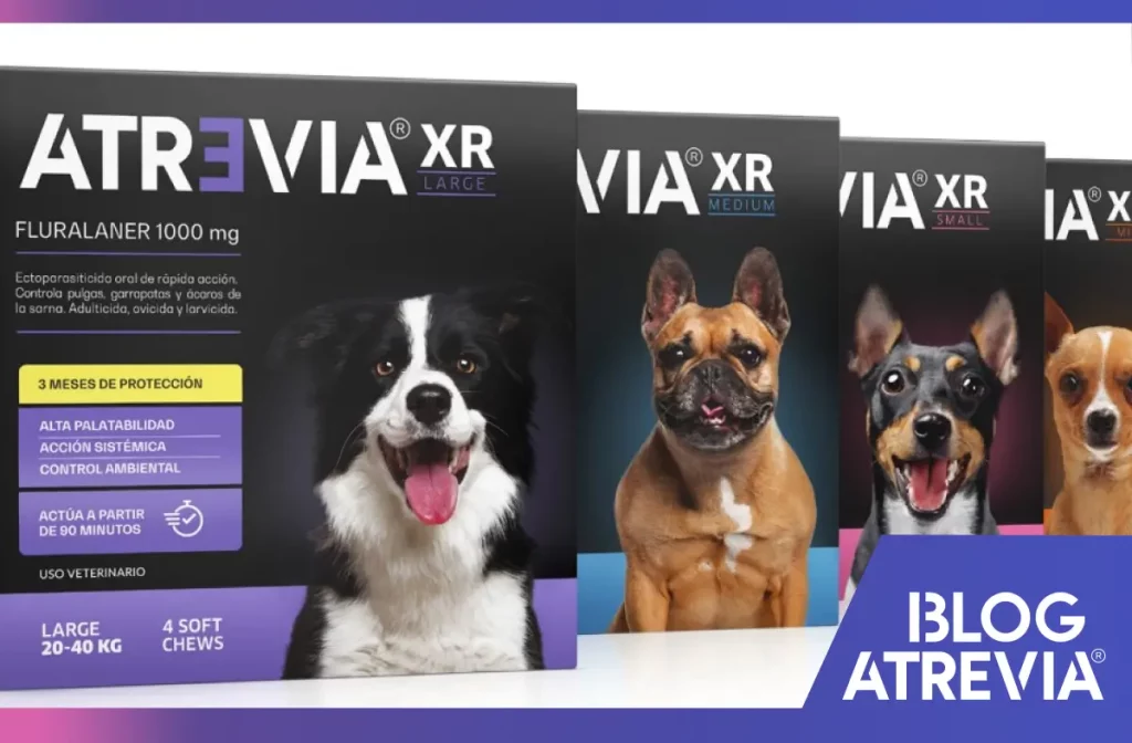 Diferentes presentaciones de Atrevia con fórmula avanzada con fluralaner para mascotas