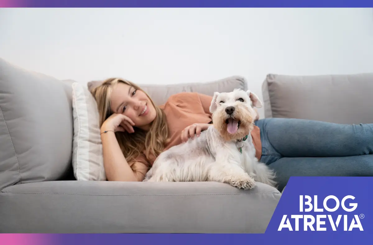 Dueña y su perro descansando en su sofá y libre de pulgas.