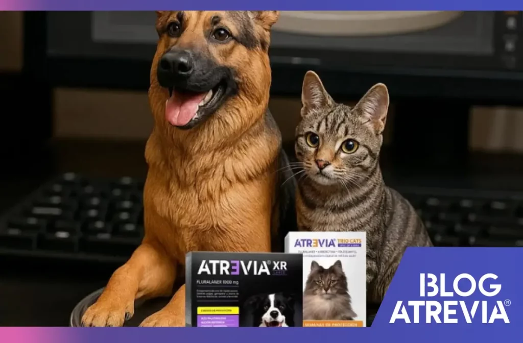 Productos antiparasitarios destacados de Atrevia online.