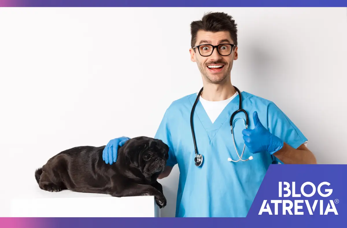 Un etólogo veterinario ayudando en el cuidado de tu mascota.