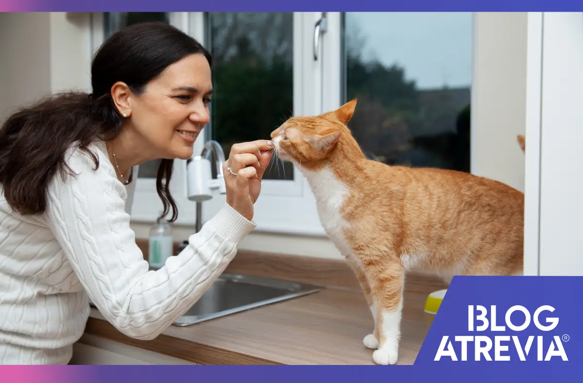 Dueña preparando snacks para gatos saludables y seguros.