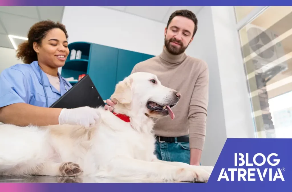 Perro en su consulta veterinaria de prevención anual.