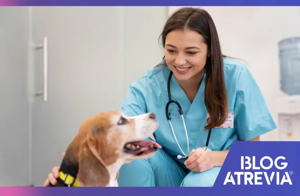 Perro recibiendo la atención profesional de un veterinario.