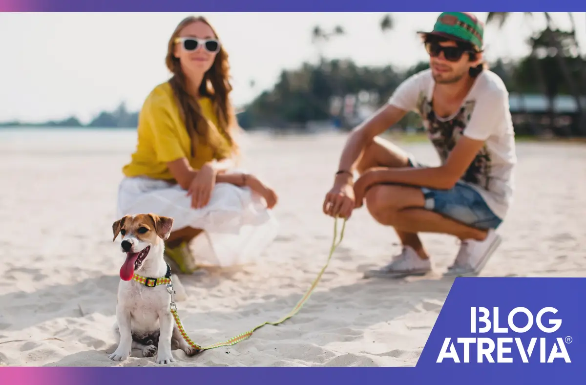 Dueños responsables que siguen los consejos de una clínica veterinaria sobre la protección solar en mascotas.
