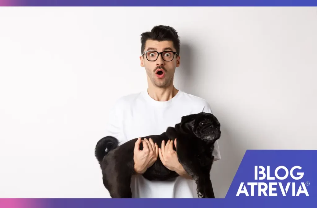 Dueño sorprendido por haber encontrado gusanos en las heces de su mascota.